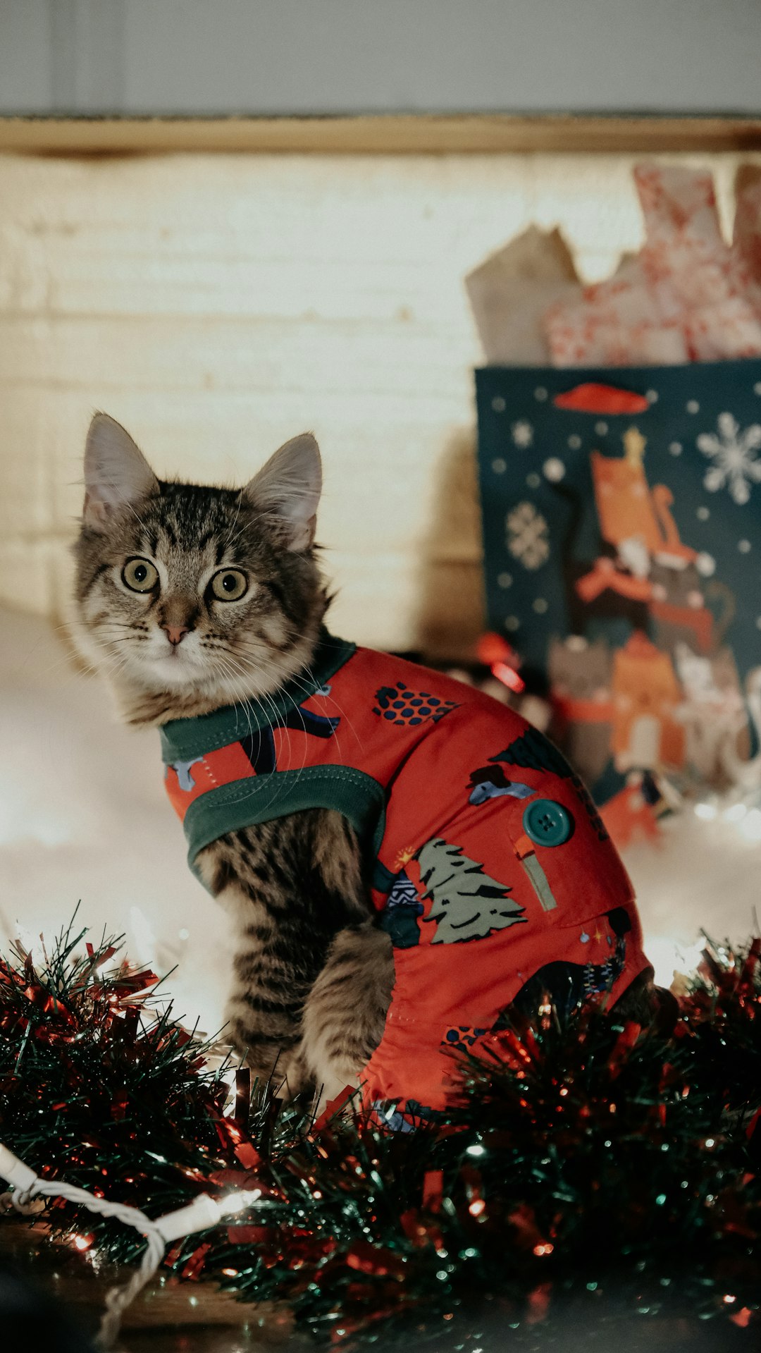 brown tabby cat in red and white santa claus costume