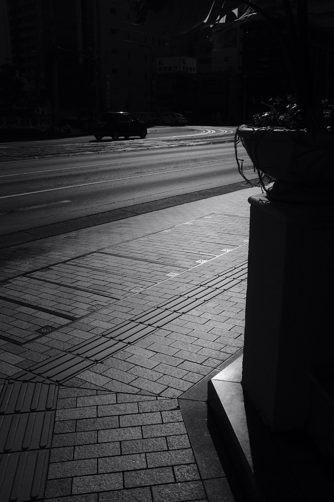 grayscale photo of a flower in pot on a concrete bench