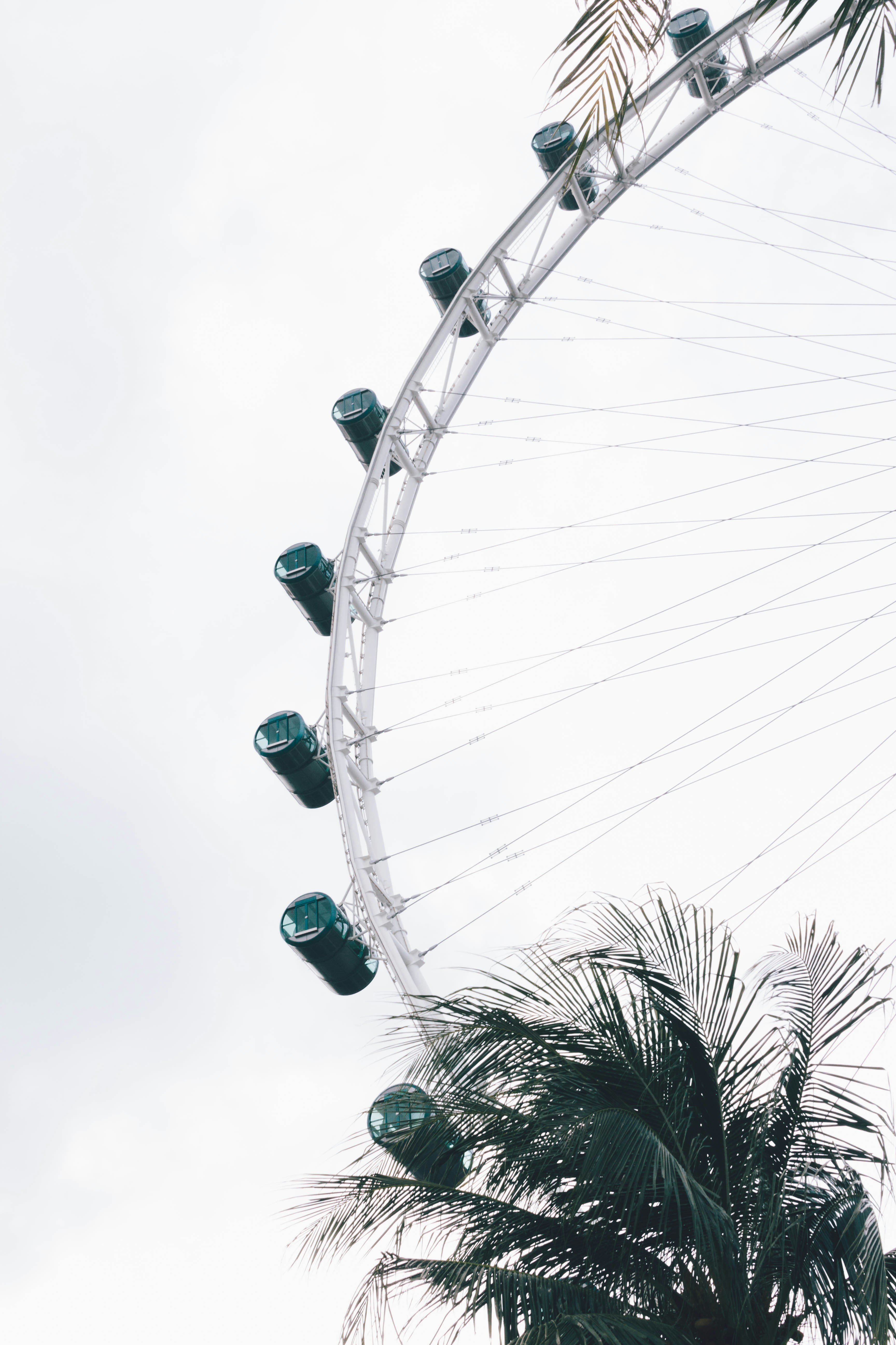 昼間の白い空の下の白い観覧車の写真 Unsplashで見つけるシンガポールの無料写真