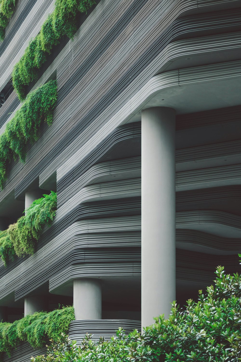 green plants on white concrete building