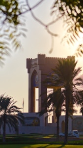 green palm tree near white concrete building