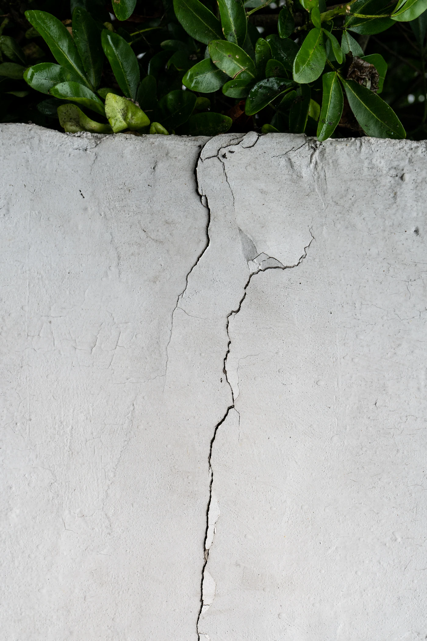 Cracked ground and soil subsidence