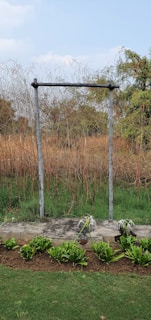 A sturdy wooden pull-up bar set up in a sunny backyard, perfect for calisthenics workouts.