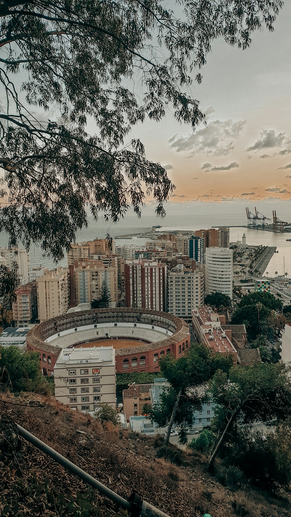 high rise buildings near body of water during daytime