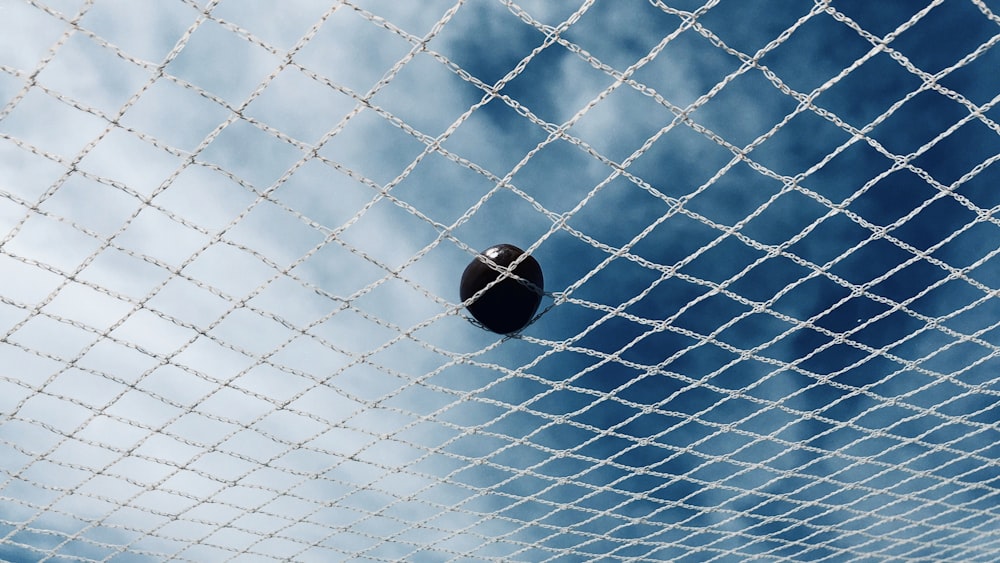 blue ball on blue net