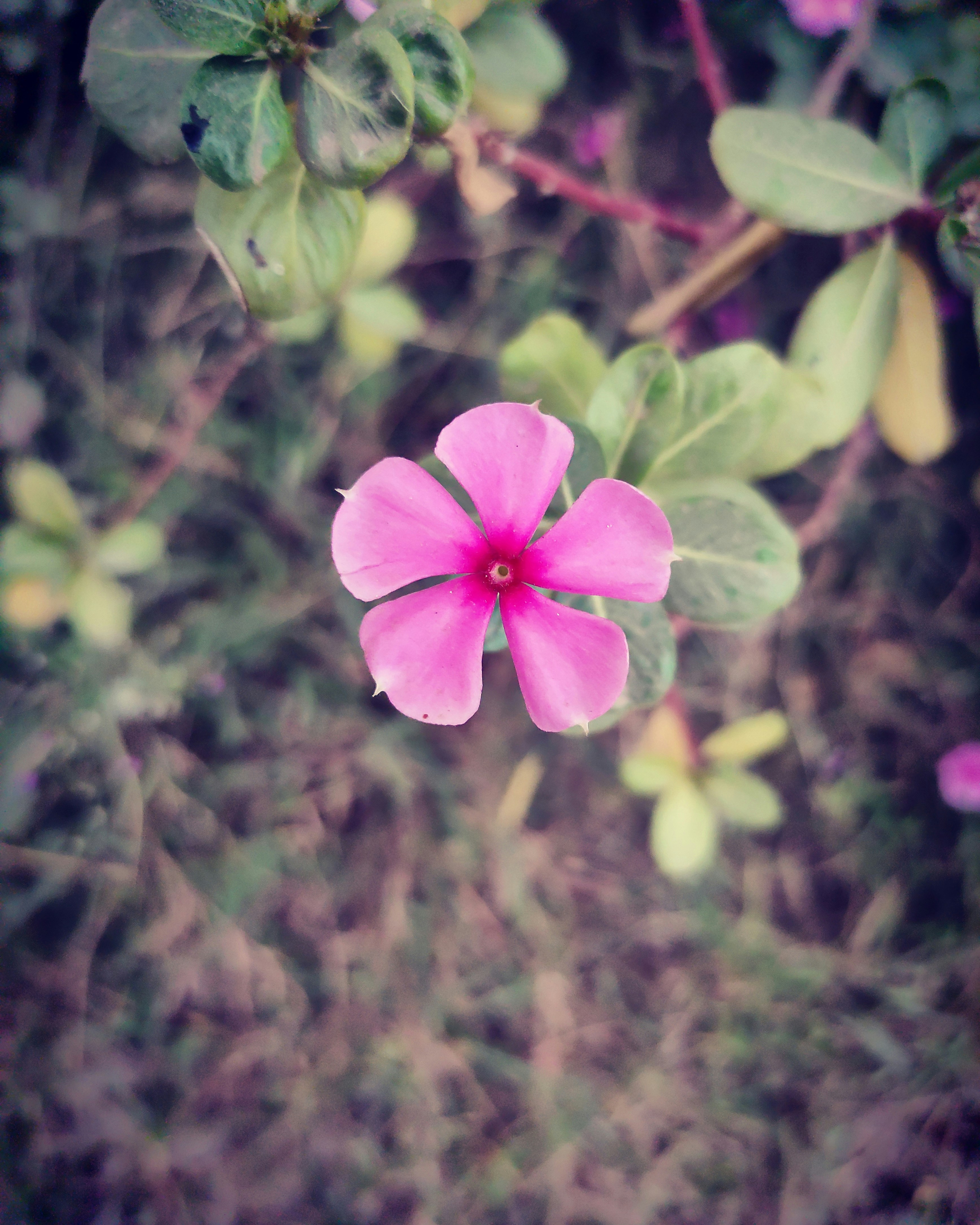 Photo by naturalphotography1