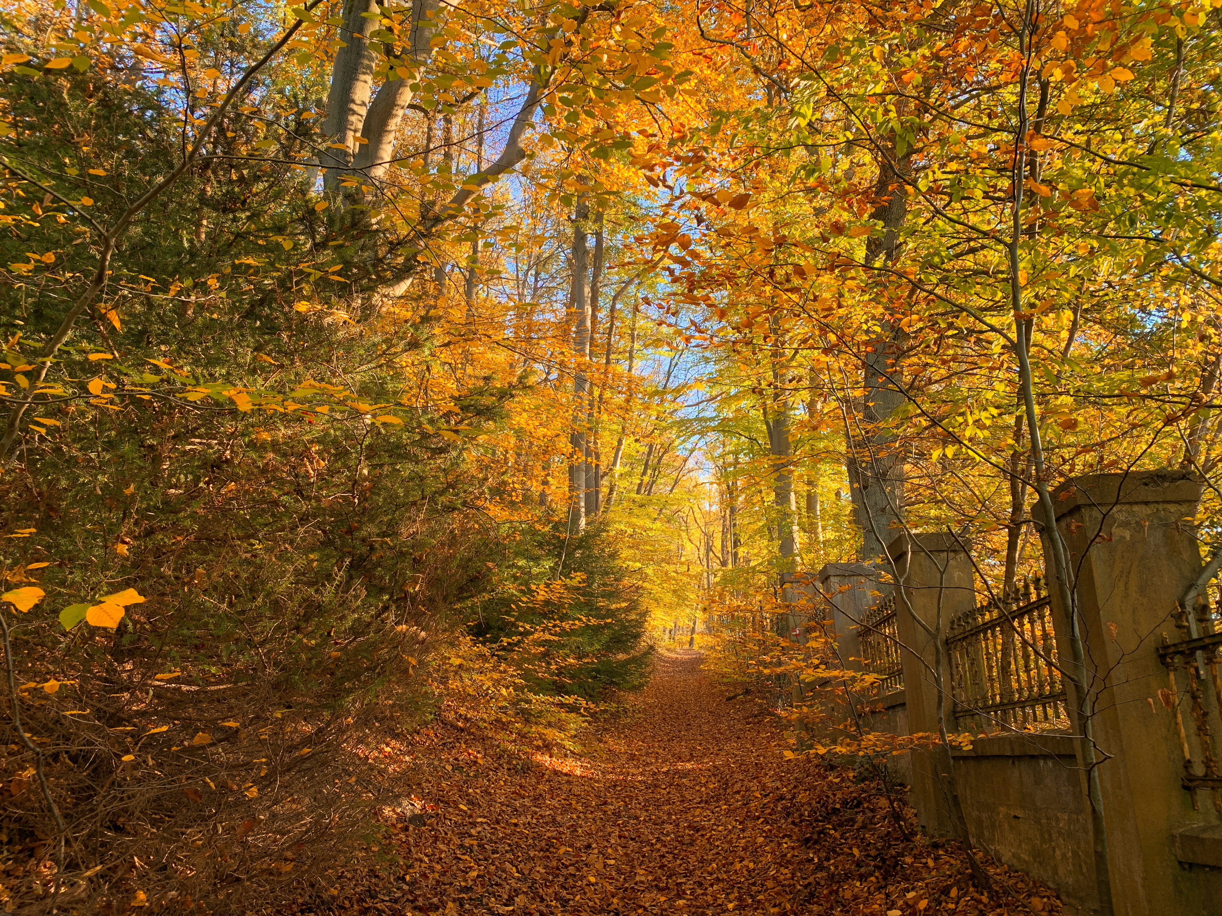 Photo by norberthentges