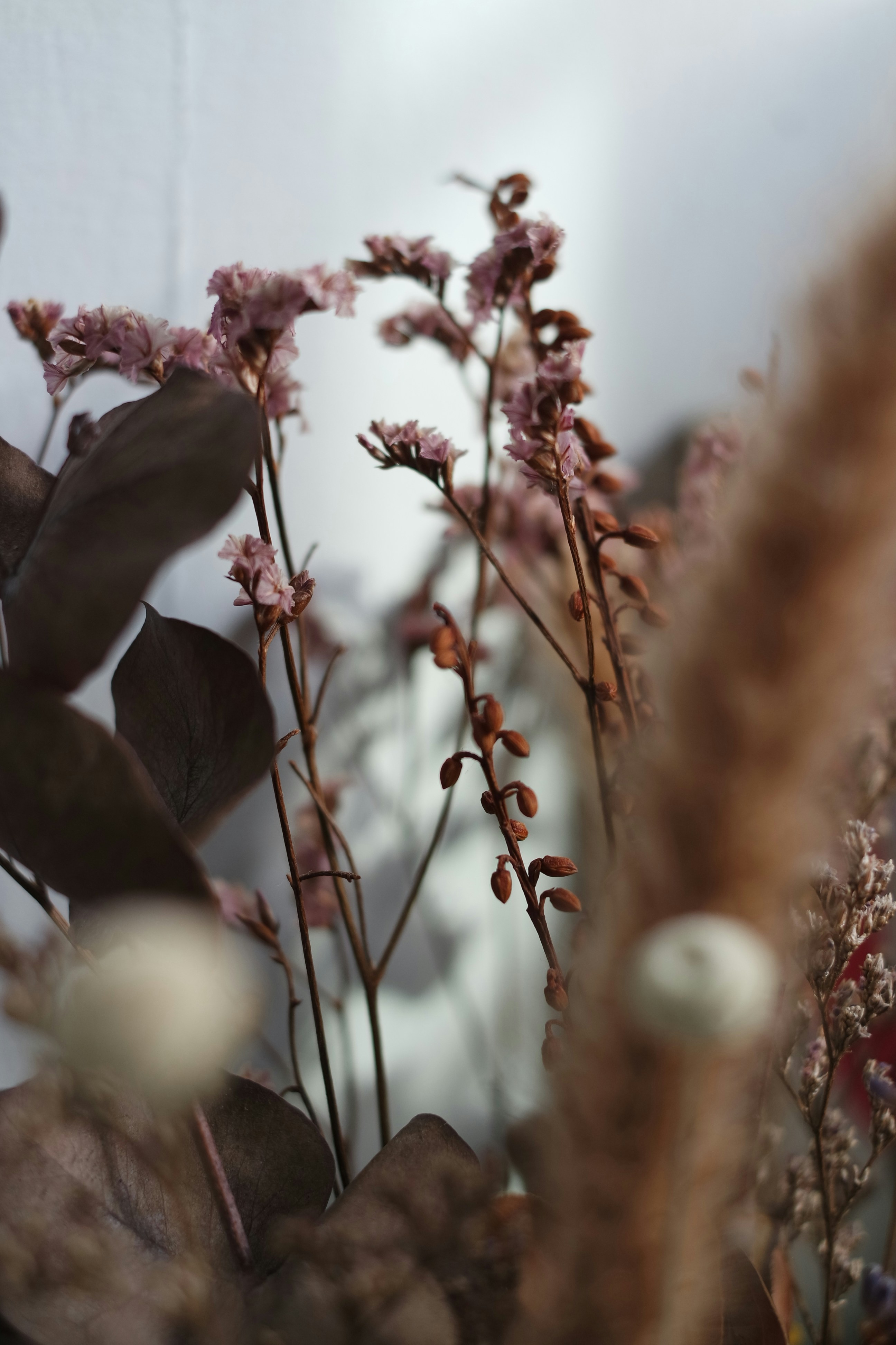 Photo by _glitterbug_