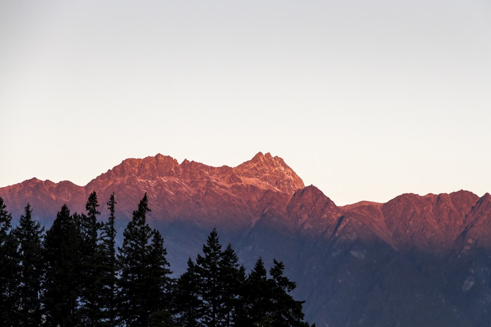 brown mountain under white sky during daytime