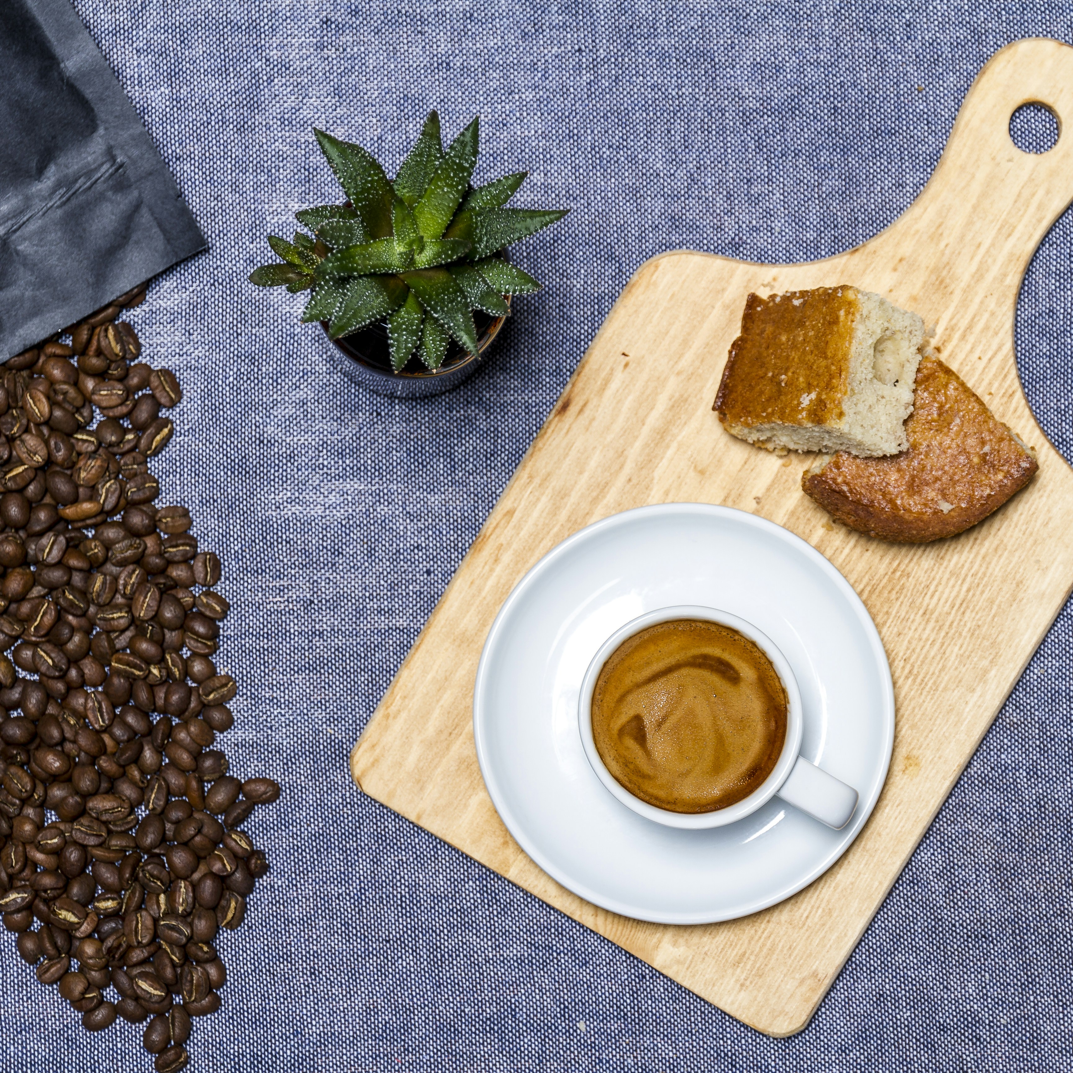 Kenya's Coffee Stocks Are Outperforming Almost Everything