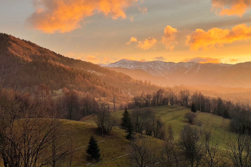 green trees on green grass field near mountains during daytime