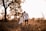 man and woman holding hands while walking on grass field during daytime