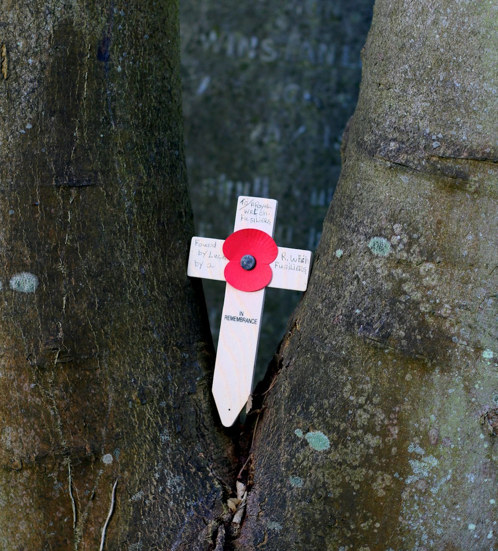Weiß-Rotes Kreuz am braunen Baumstamm
