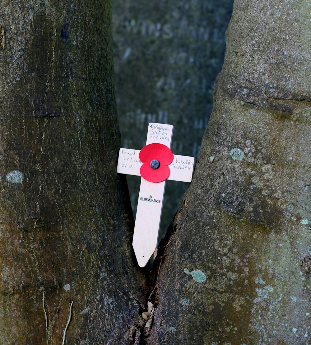 white and red cross on brown tree trunk