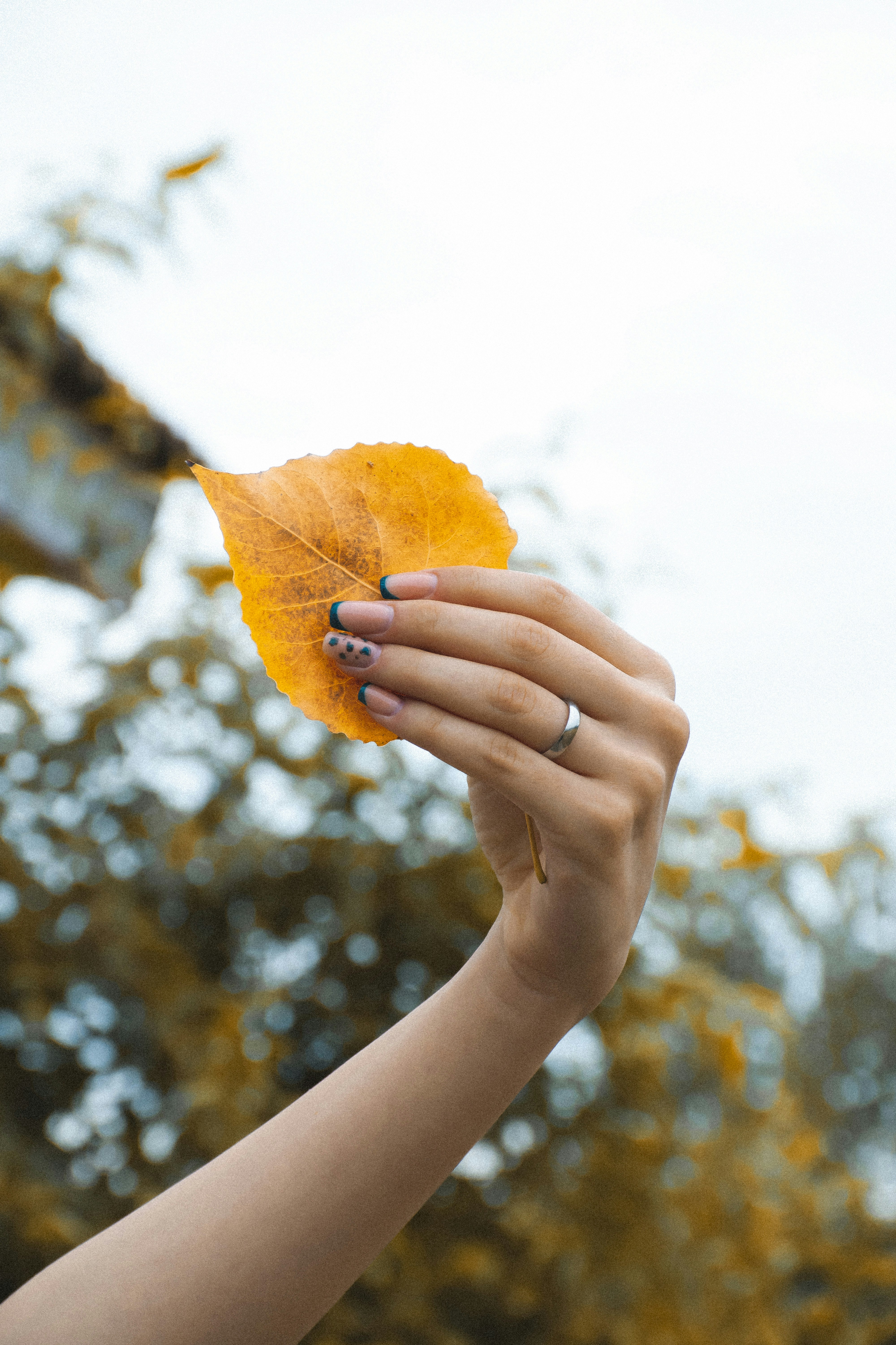 Photo by samahosseini