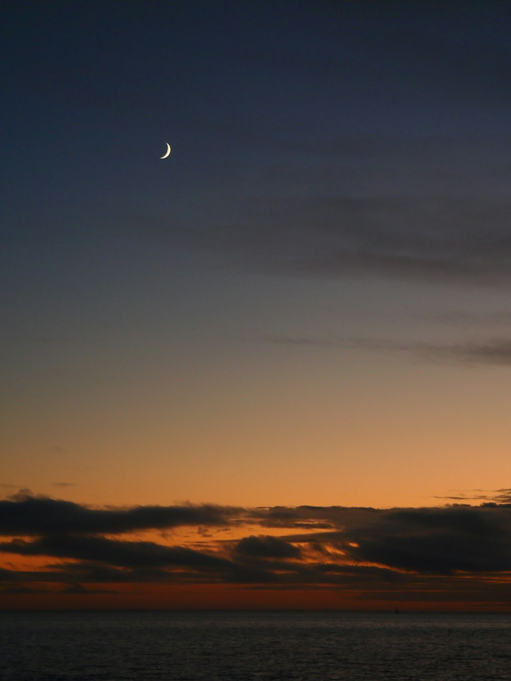 bird flying over the clouds during sunset