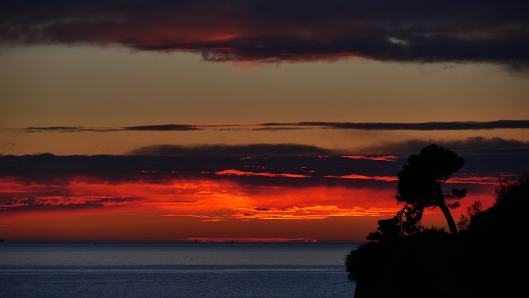 silhouette of man standing on rock near body of water during sunset