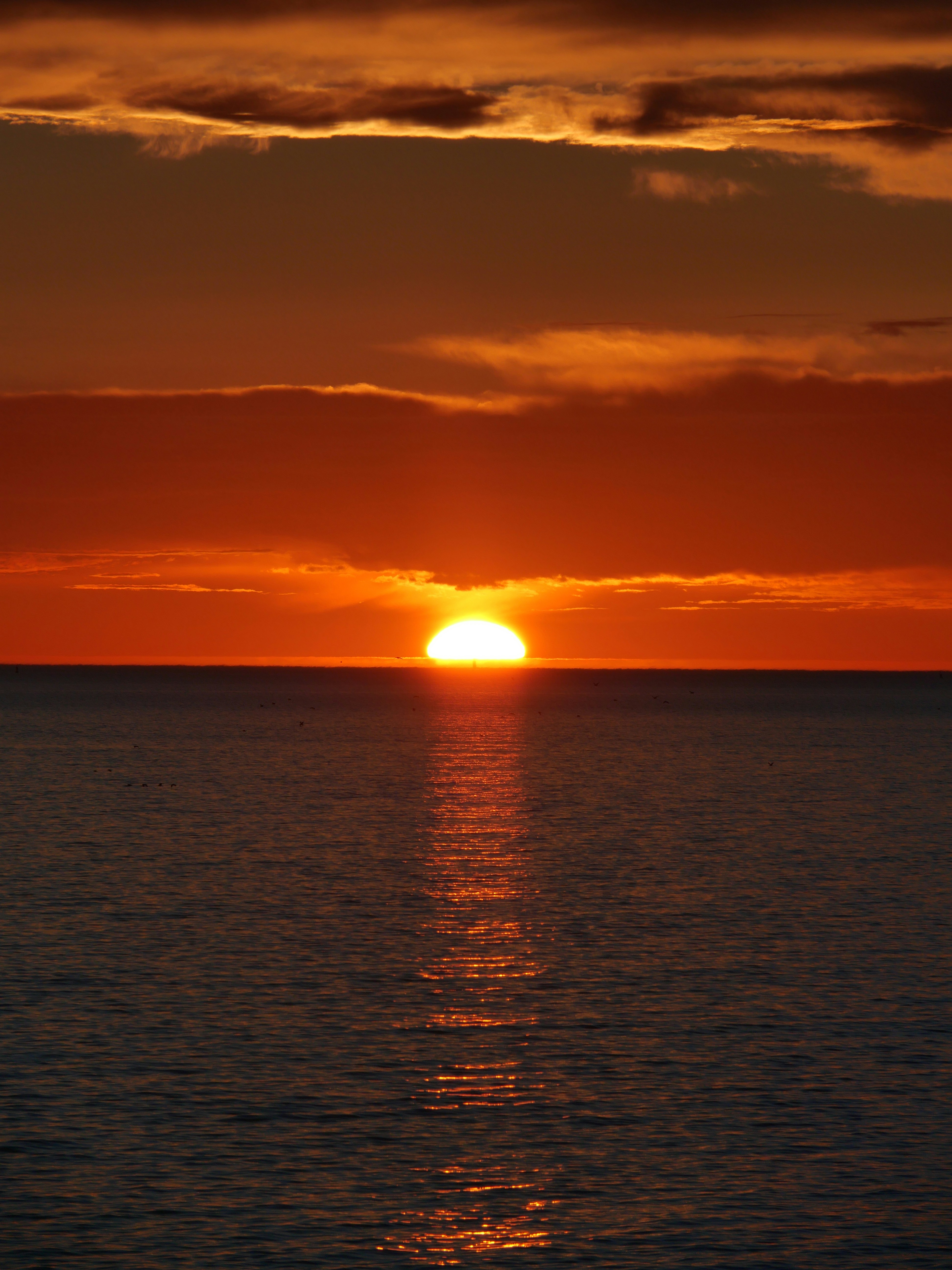 Photo by nimbus_vulpis