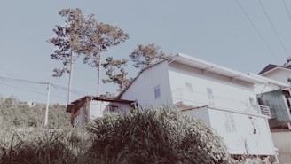A modest residential building with a white facade and a small balcony, surrounded by tall grass and trees. The sky is clear with visible power lines in the foreground.