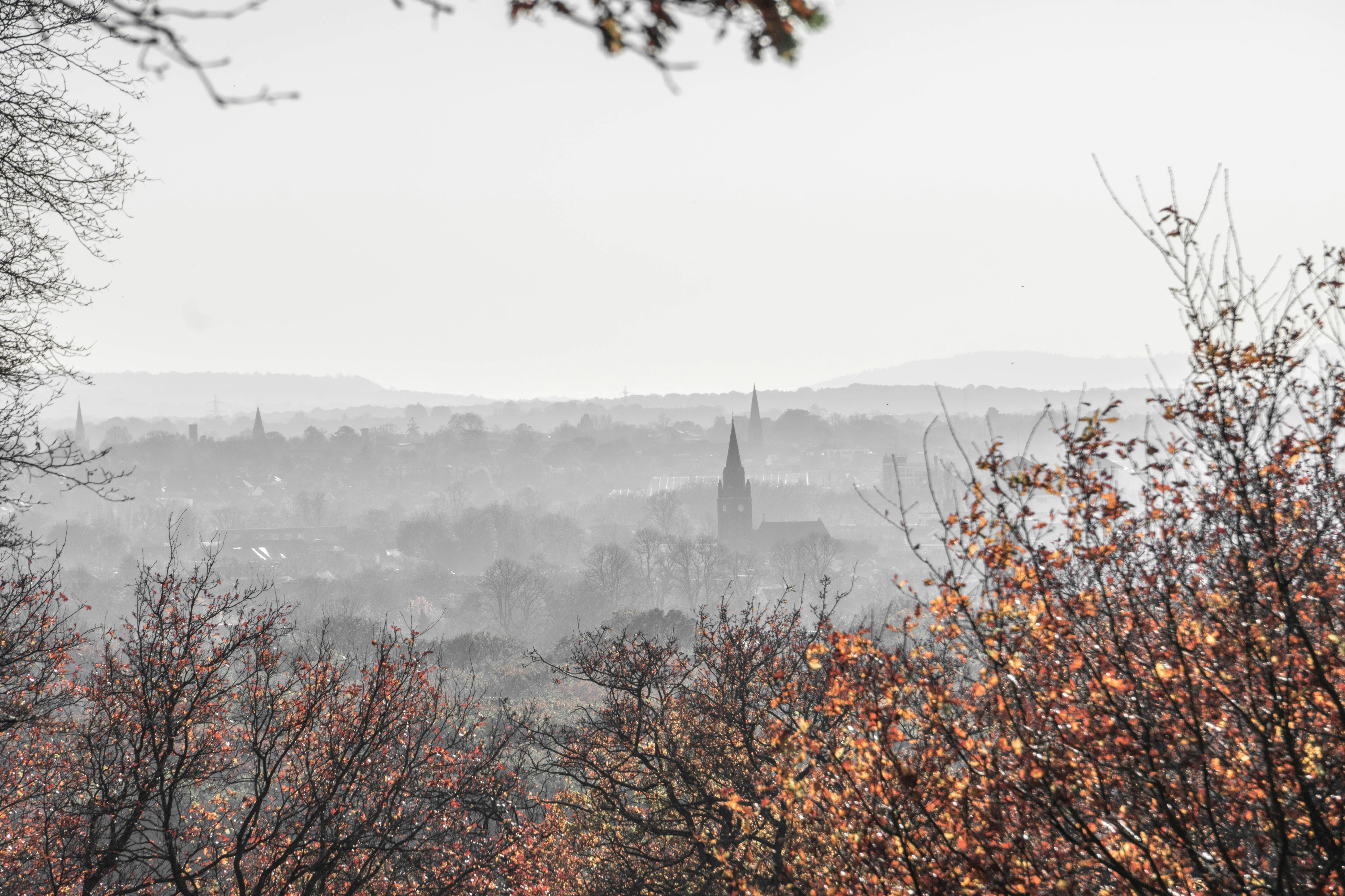 Photo by miquel_parera_mila