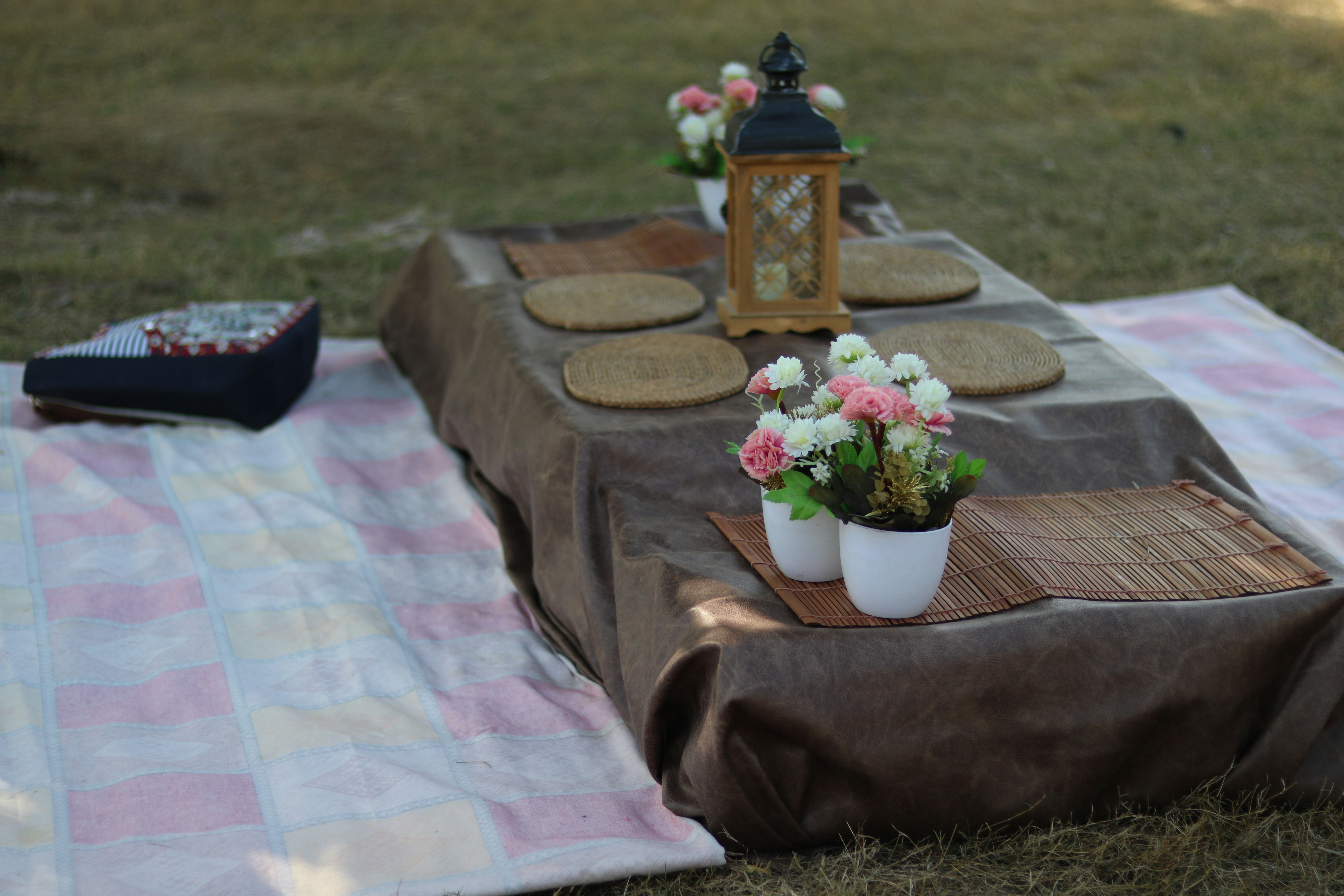 Charming picnic table setup in park