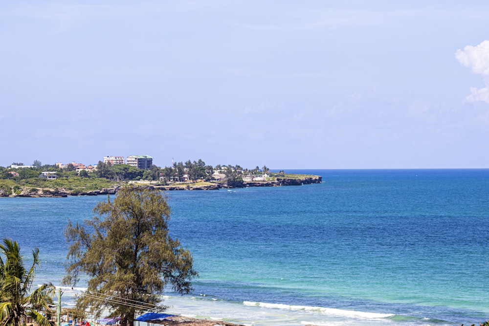 green trees on white sand beach during daytime