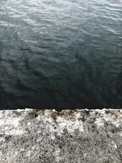 Pool surround with neat concrete edging and decorative finish, ready for landscaping.