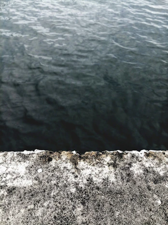 Pool surround with neat concrete edging and decorative finish, ready for landscaping.