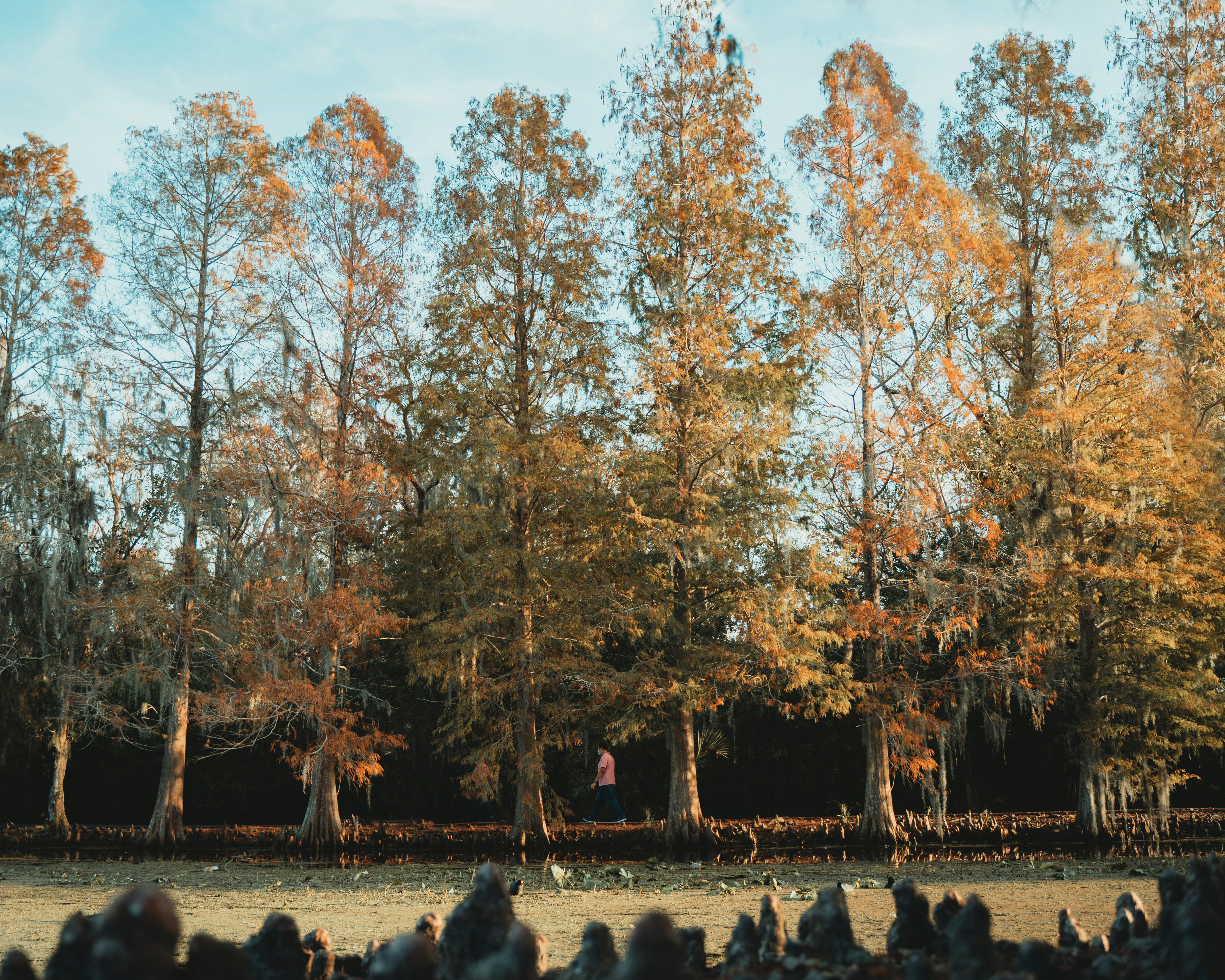 people walking on park during daytime