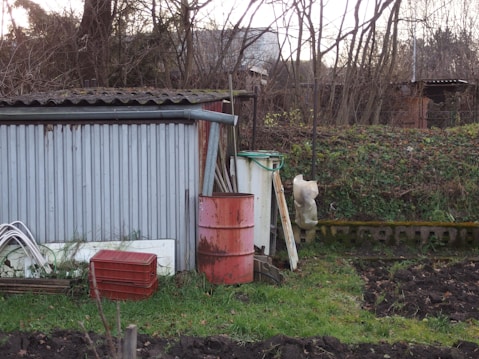 A small outdoor area features a shed with corrugated metal siding, a red metal barrel, and a white container with a hose attached. Several gardening tools rest against the shed, alongside a stack of red crates. Overgrown grass, leafless trees, and a wooden fence surround the area, with patches of dark soil visible in the foreground.