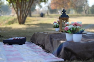 A picnic setup features a neatly placed blanket on the grass with a wooden lantern and potted flowers on a low table. The background shows a lightly wooded area with soft, natural lighting.