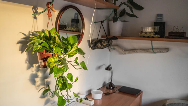 A cozy corner with a handmade backpack hanging on a hook, surrounded by potted plants.