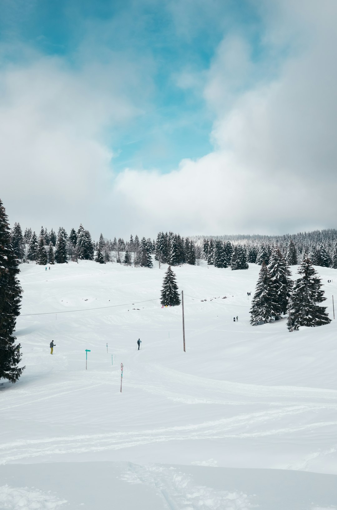 snow covered trees under cloudy sky during daytime