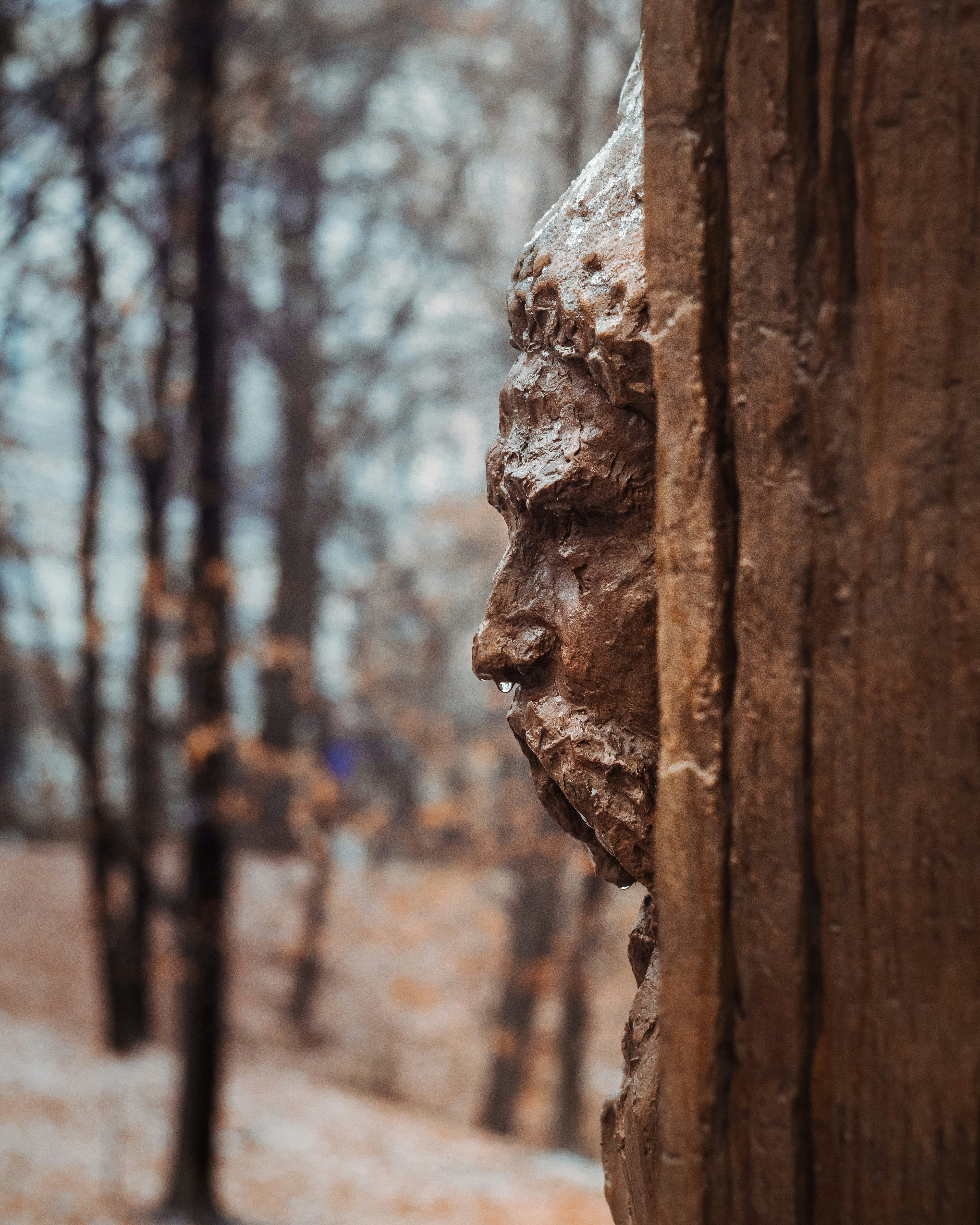 Photo by maksym_tymchyk