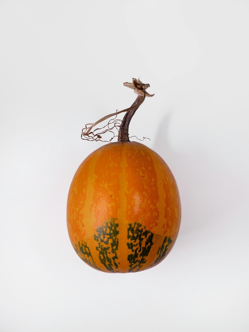 orange pumpkin with white background