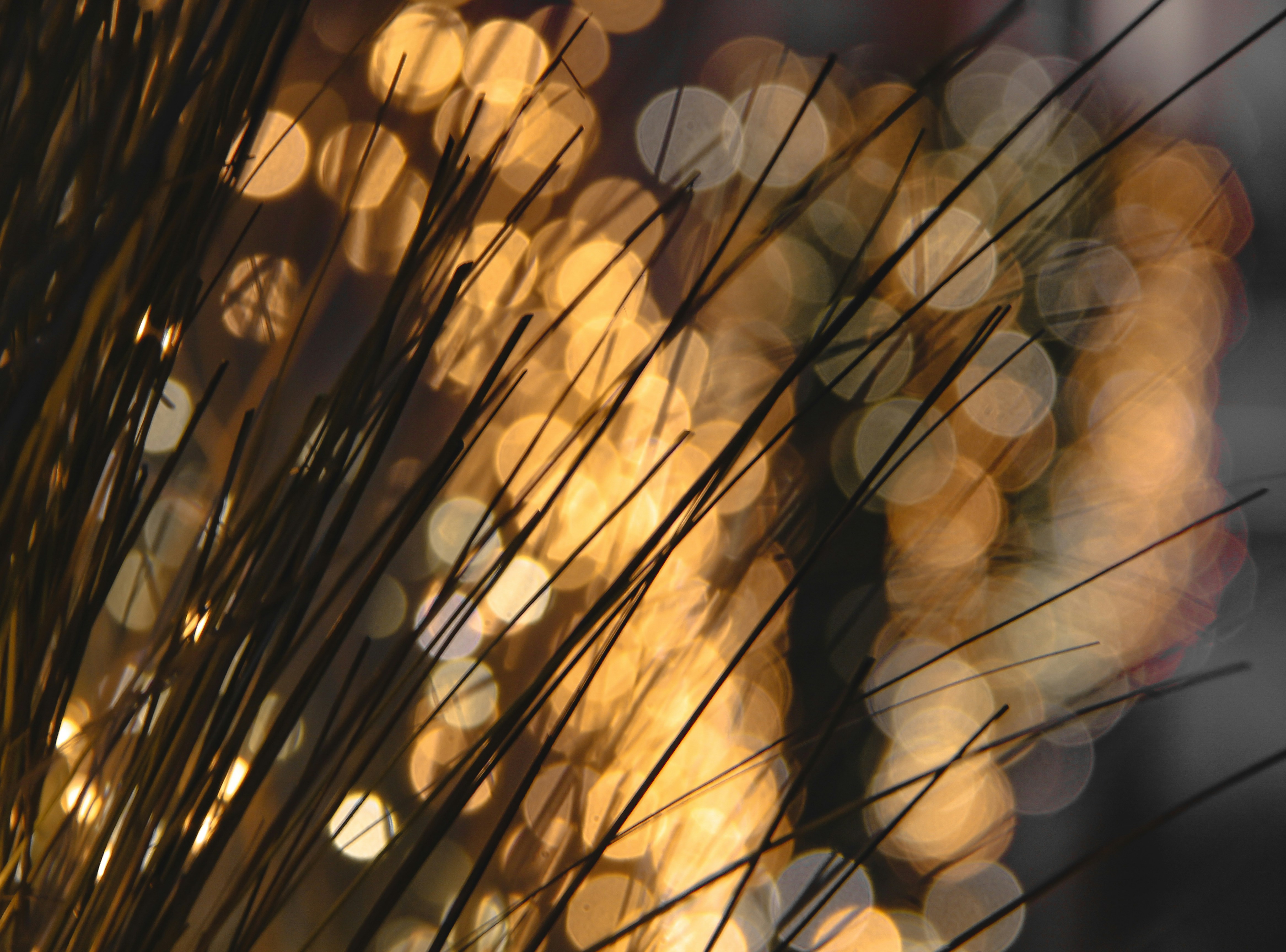 Photo by picsar_rovshan