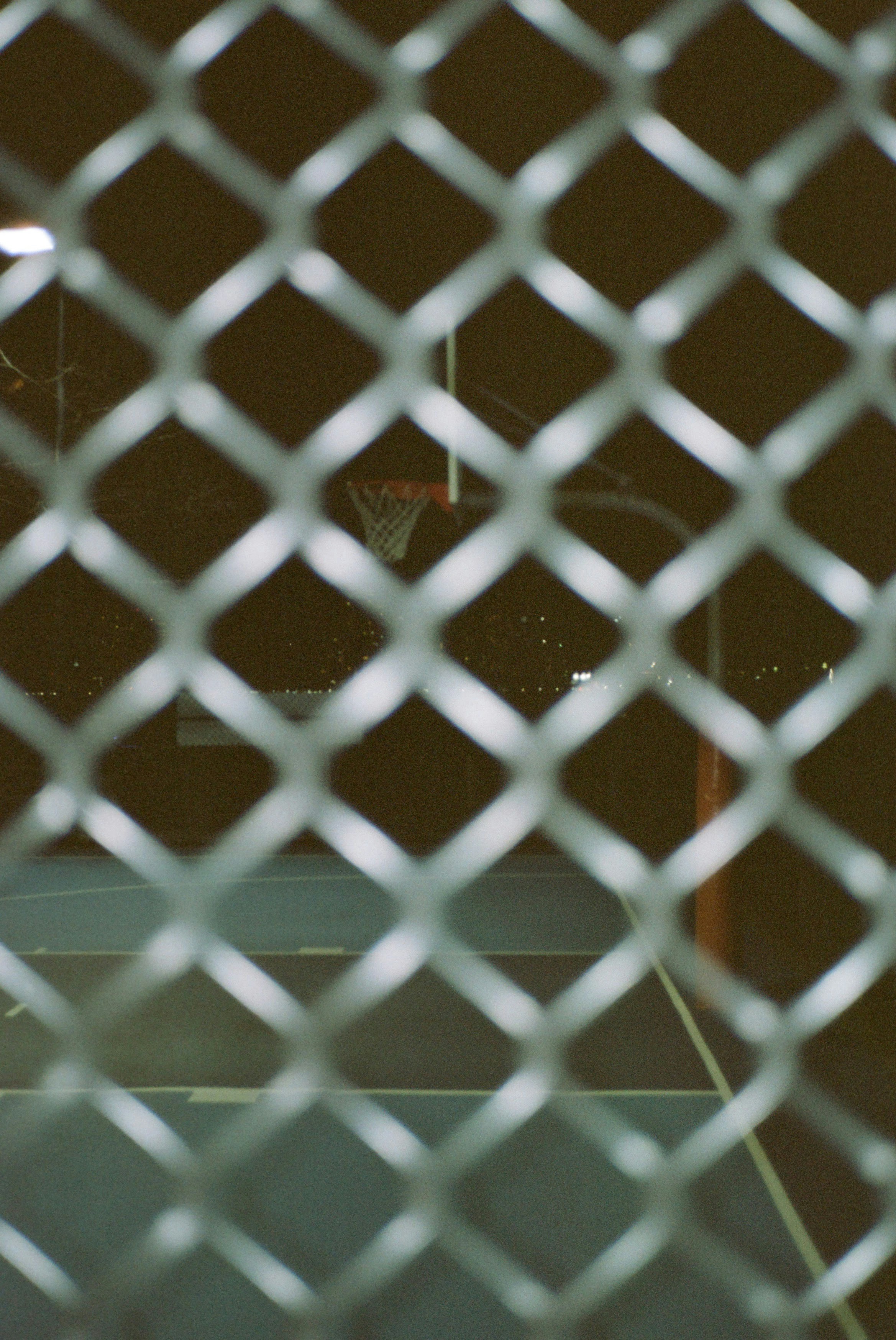 white net fence during daytime