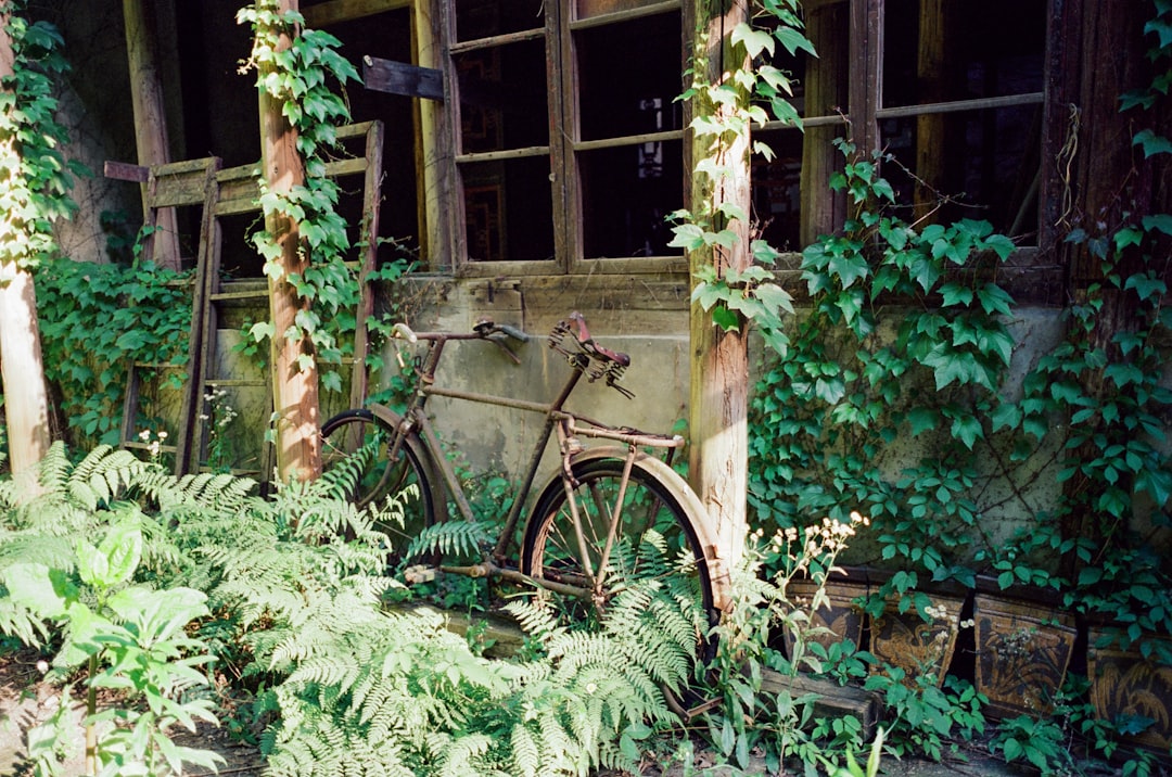 bicycle parked beside brown wooden door