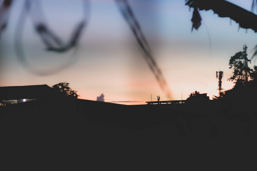 silhouette of trees during sunset