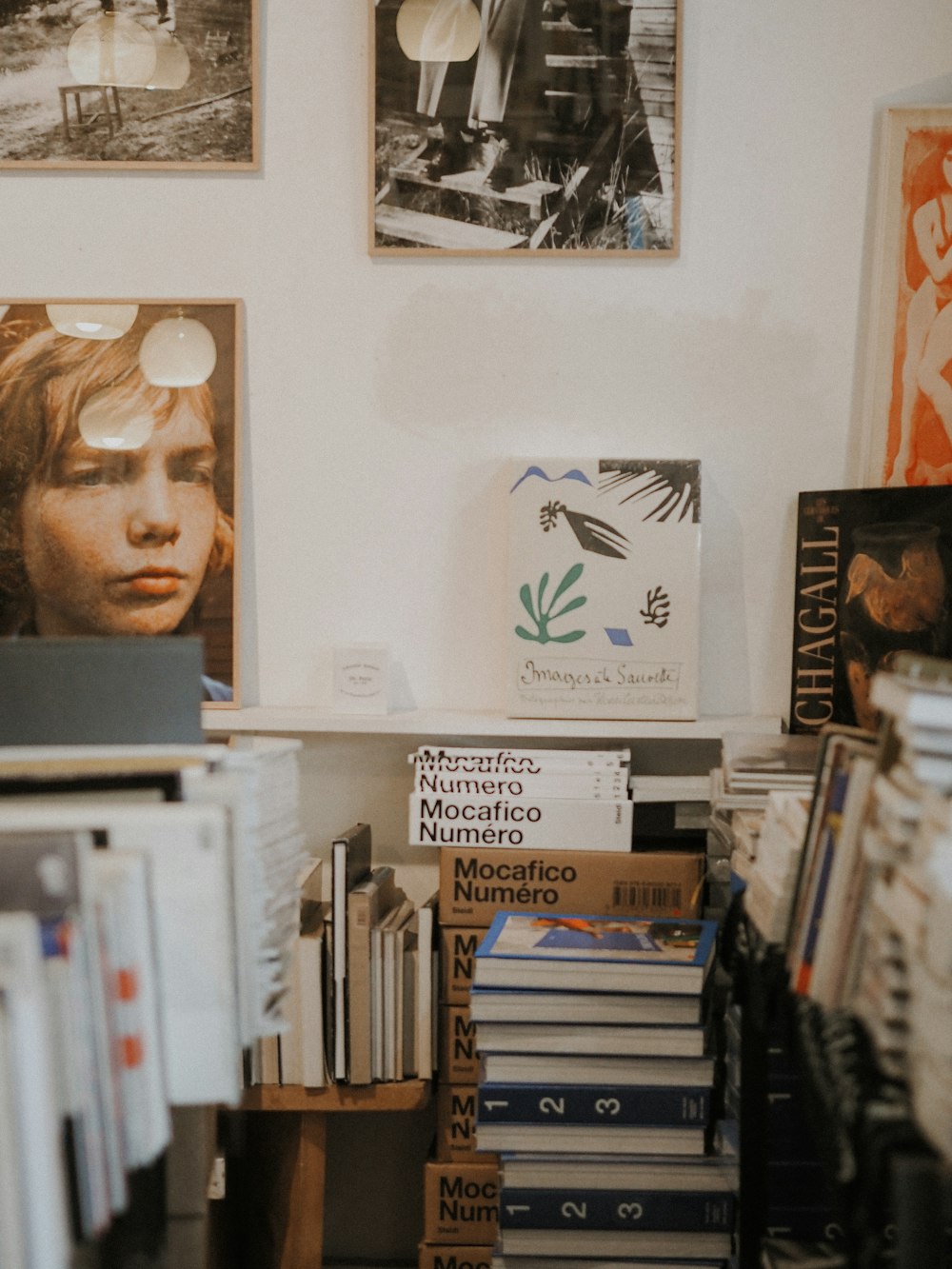 white wooden shelf with books