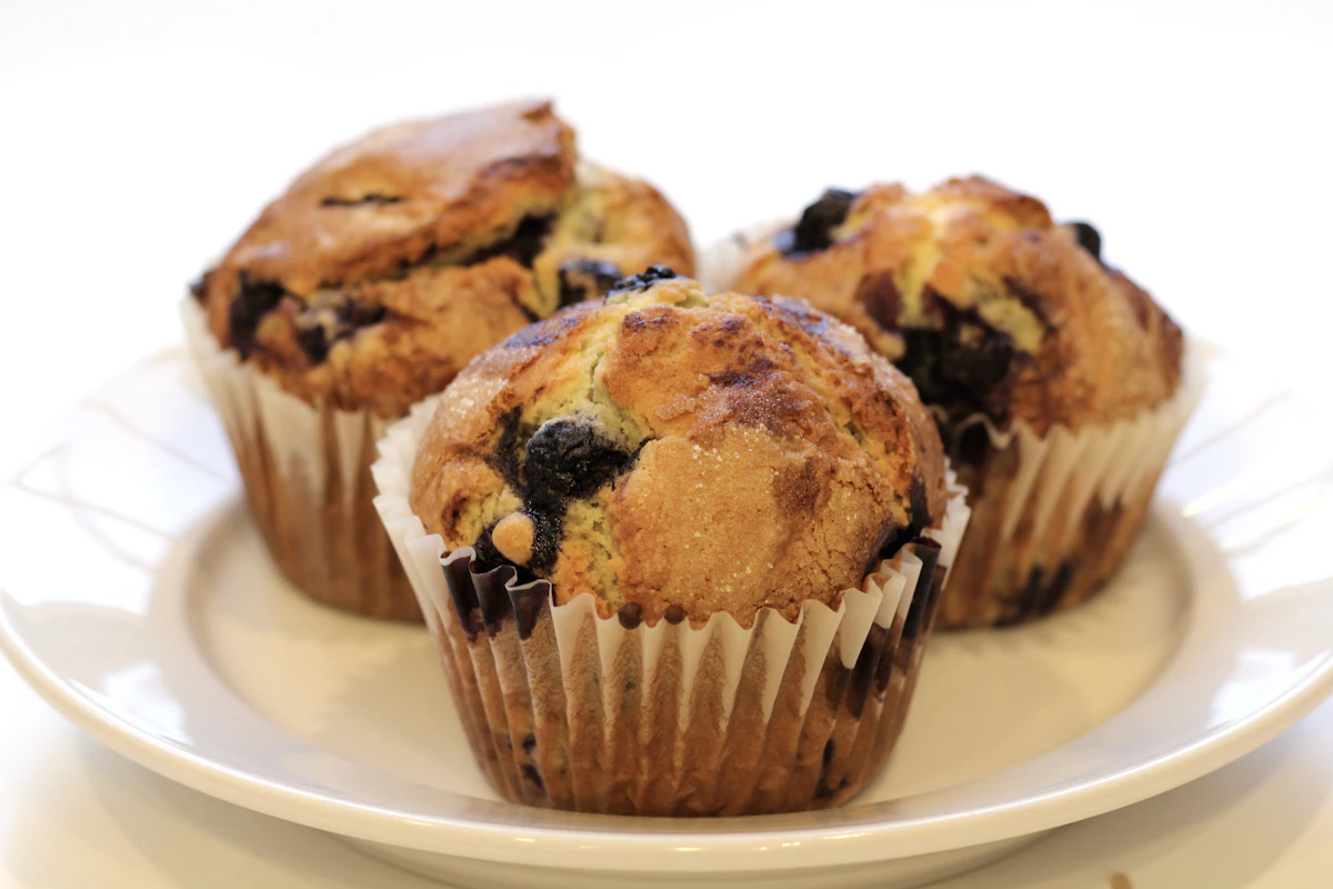 Chocolate Muffin