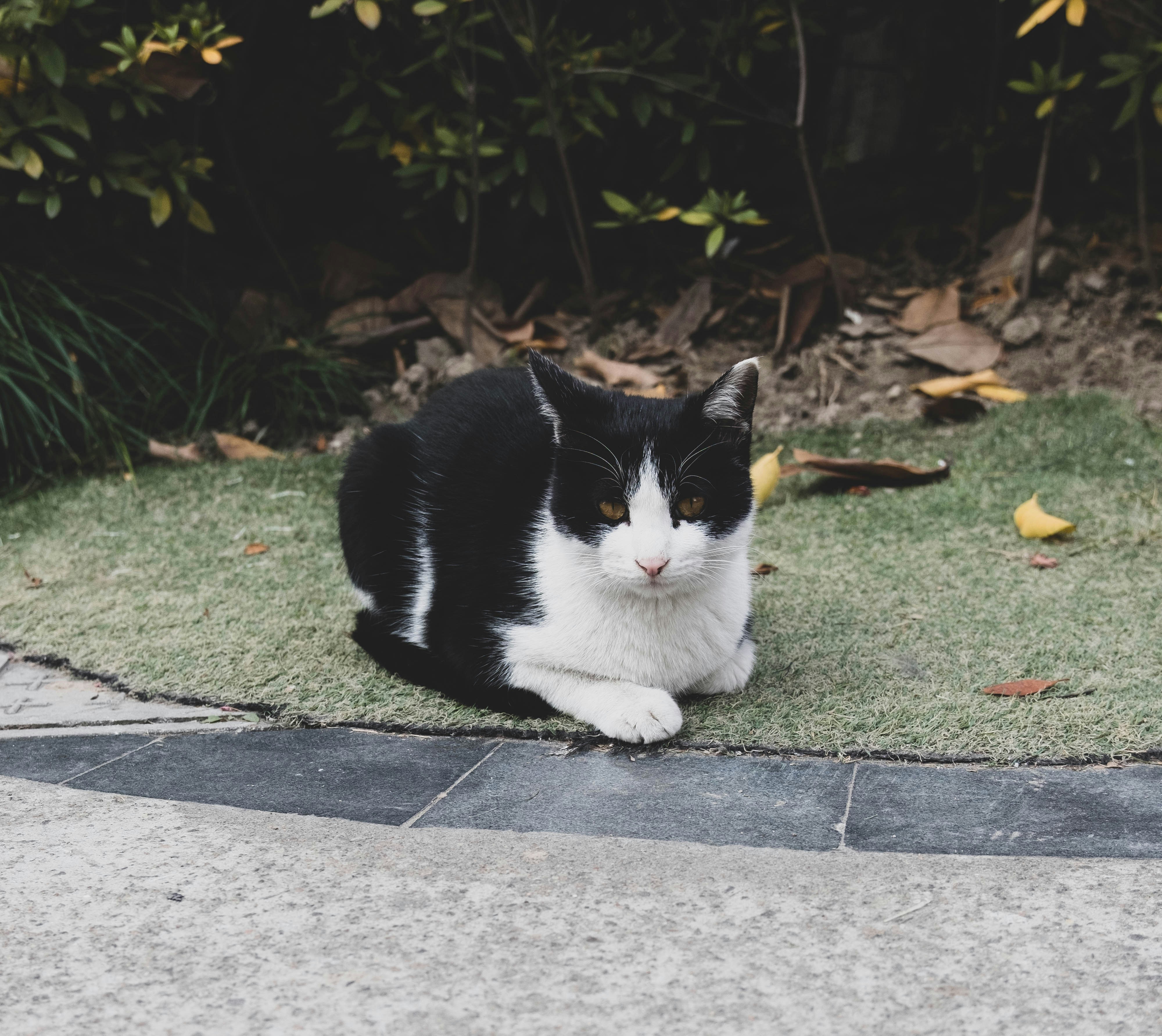 Photo by yooho962464