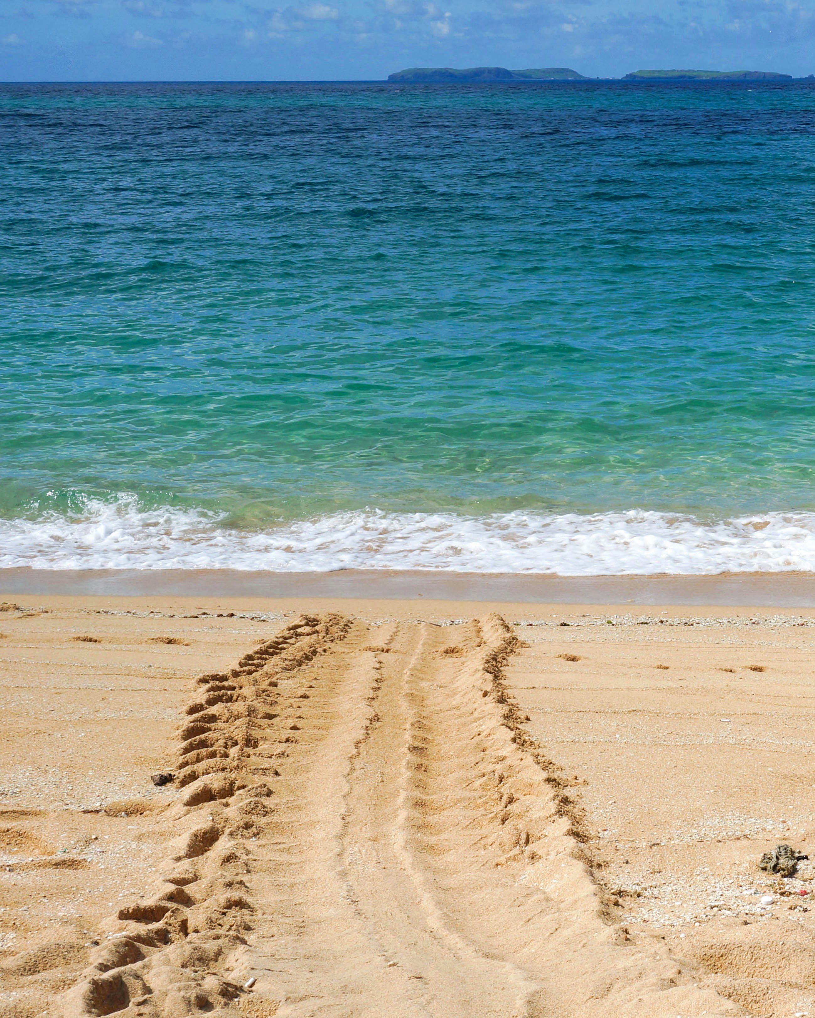 praia de areia marrom durante o dia