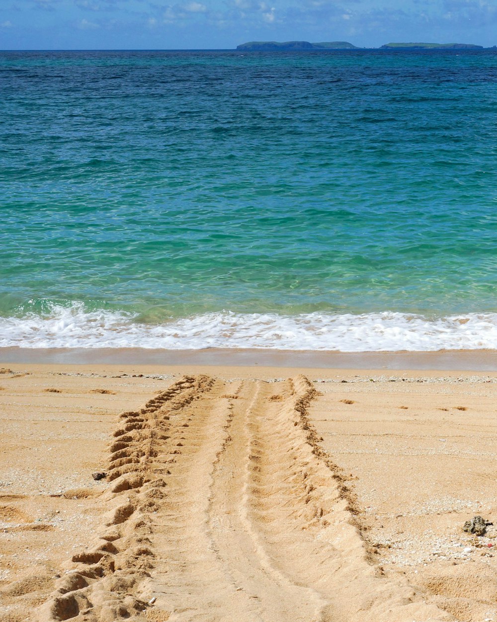 brown sand beach during daytime