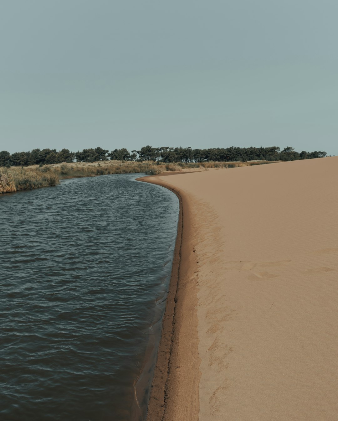 brown sand near body of water during daytime
