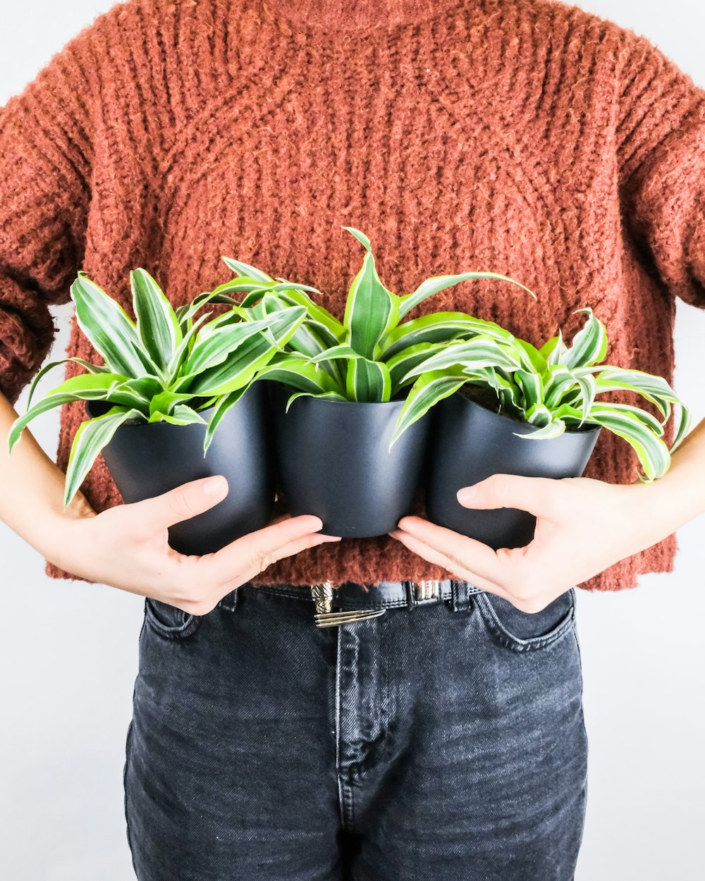 person in brown sweater holding green plant