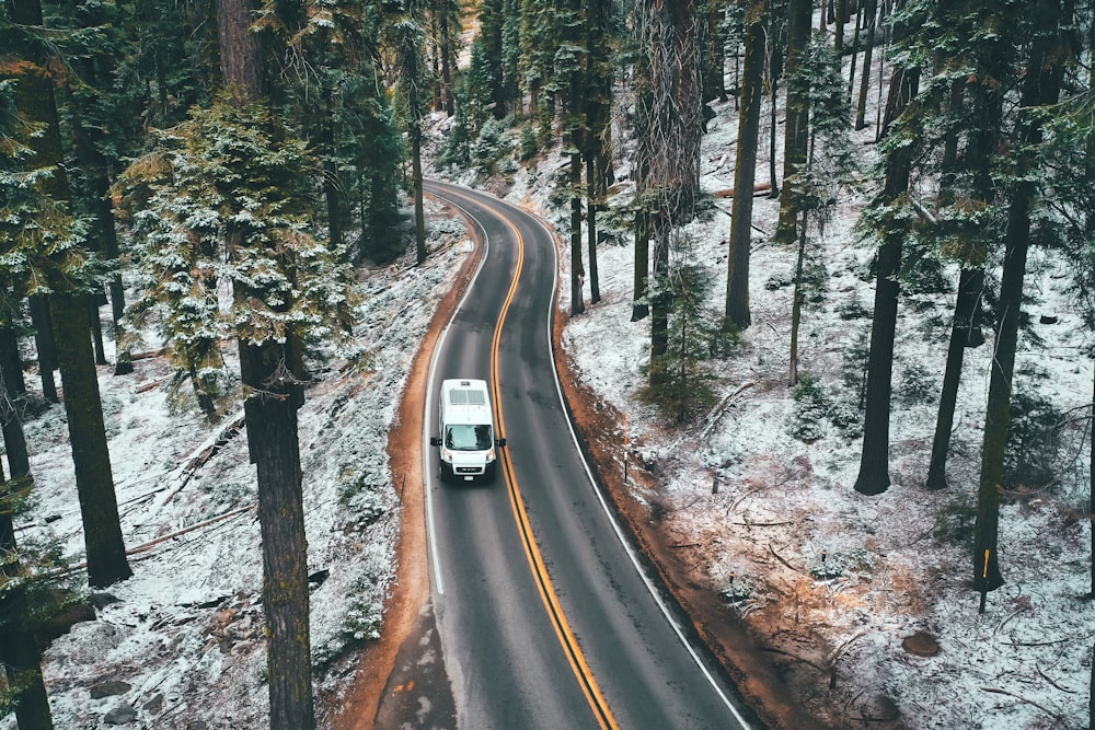 black car on road between trees during daytime