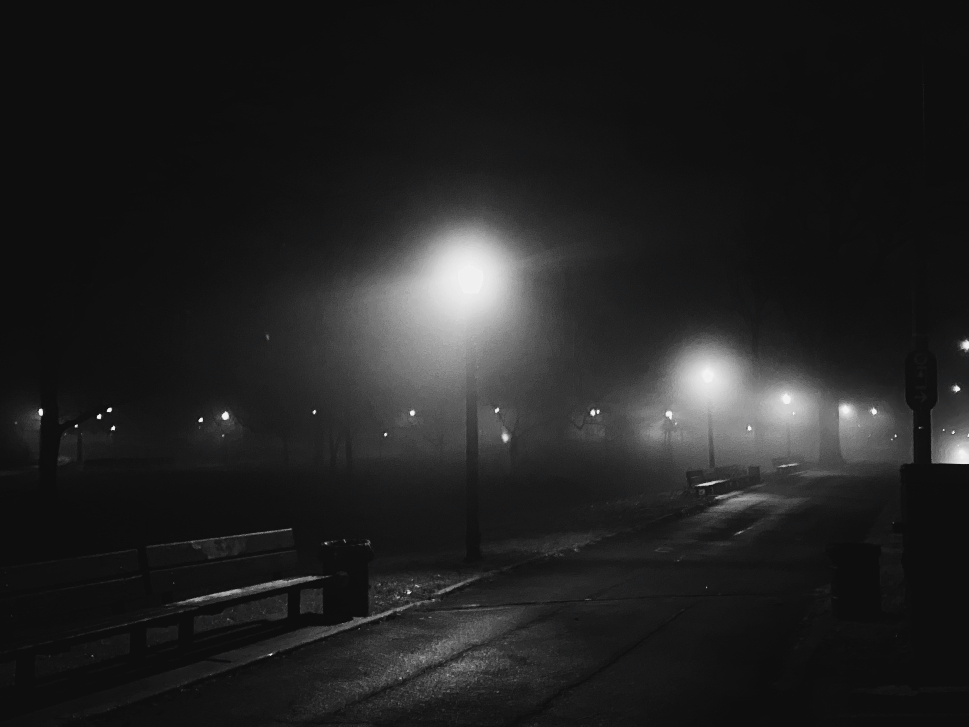 Photo by brianasarejr