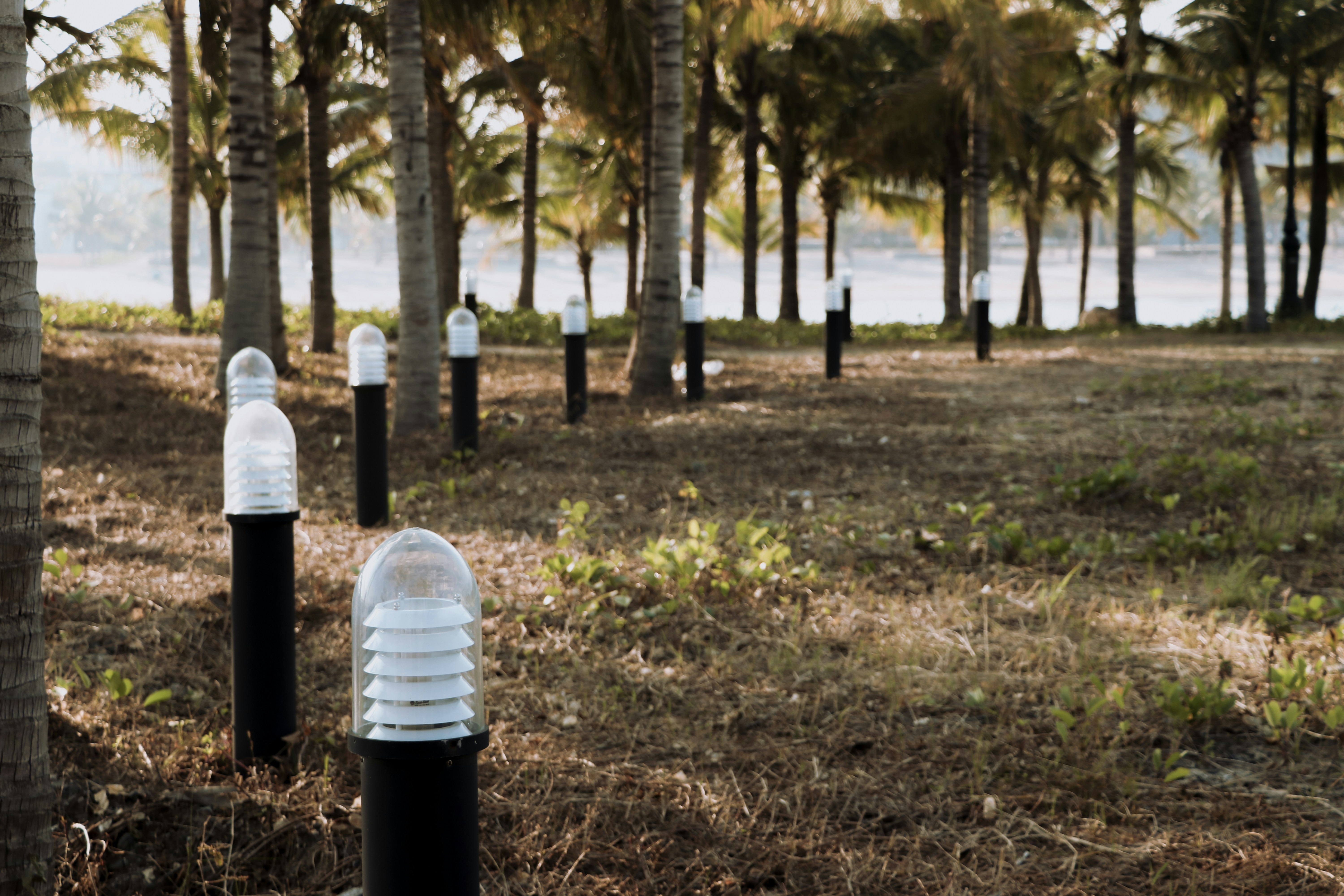 Crockett Solar Light