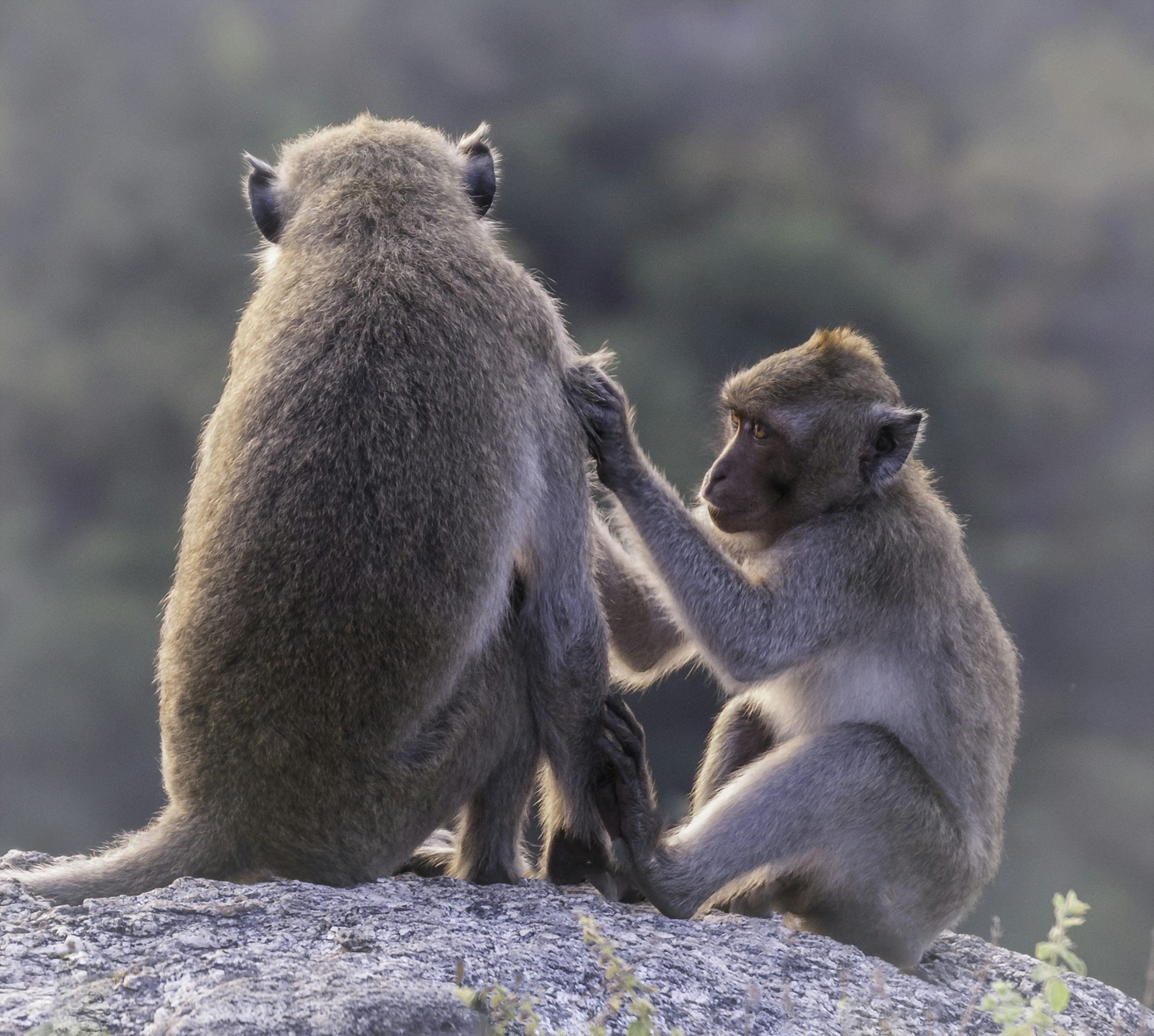 Chockerande dom: Kommunal tjänsteman fälld för sexuellt ofredande av barn!